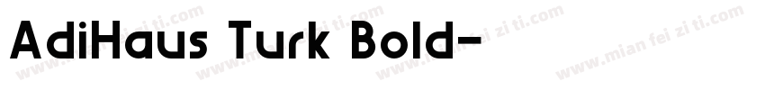 AdiHaus Turk Bold字体转换